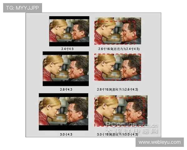 乐鱼网rmvb视频下载步骤详解，快速掌握rmvb文件免费下载方法